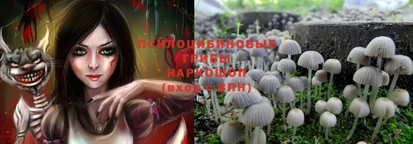 ПСИЛОЦИБИНОВЫЕ ГРИБЫ Абдулино