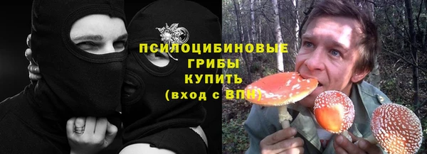 ГАЛЛЮЦИНОГЕННЫЕ ГРИБЫ Абинск